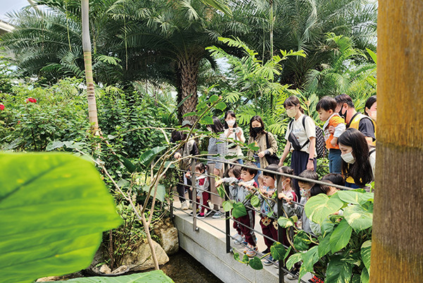 부천호수식물원 수피아를 방문한 아이들이 열대식물과 물고기를 관찰하고 있다.