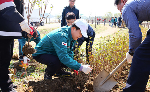 김성제 의왕시장이 지난 2일 왕송호수공원에서 열린 ‘나무 심기 행사’에 참석해 자산홍을 심고 있다.  (사진제공=의왕시)